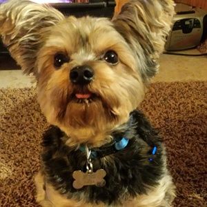 Meet your Posher, Margie